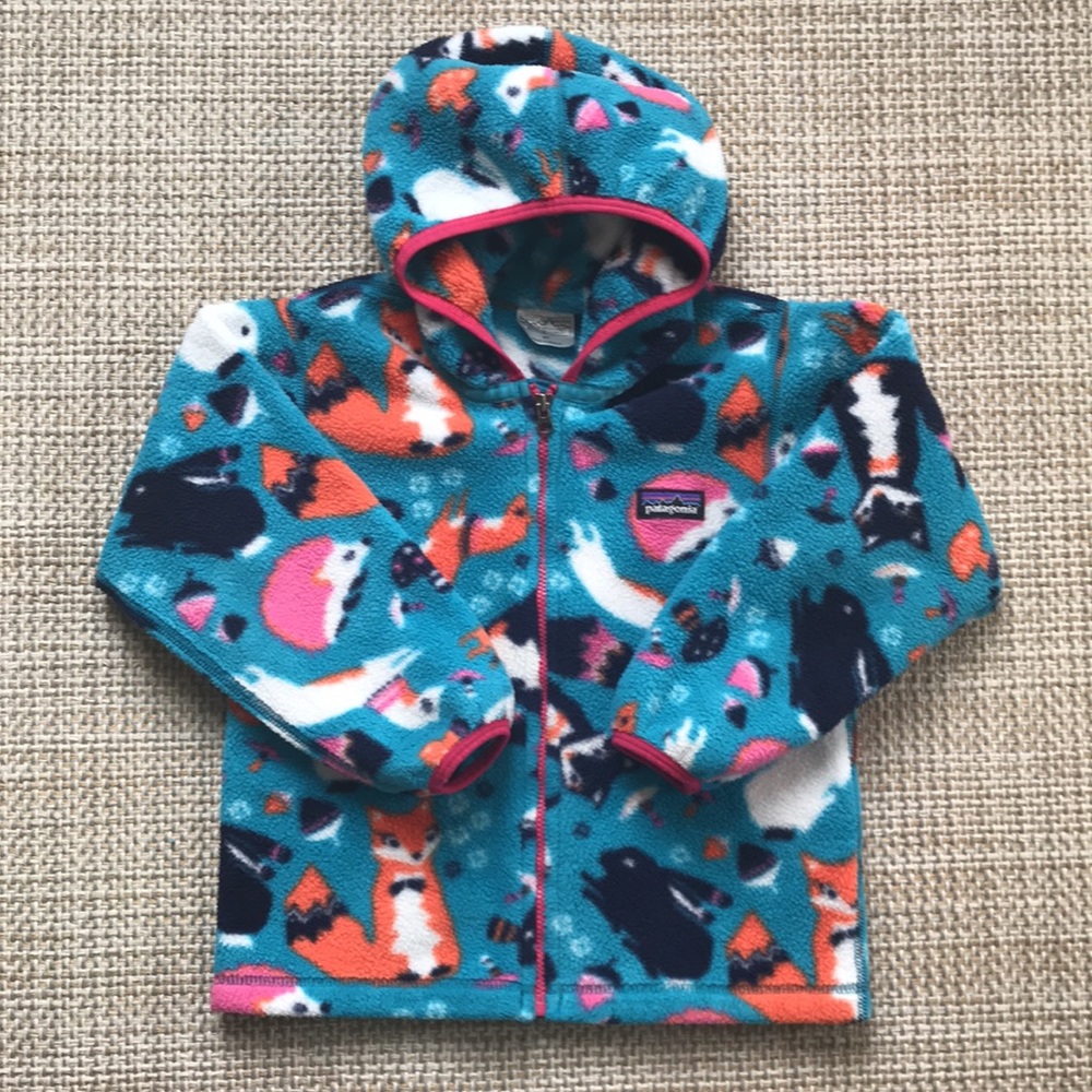Patagonia Fleece Jacket (size 4T)